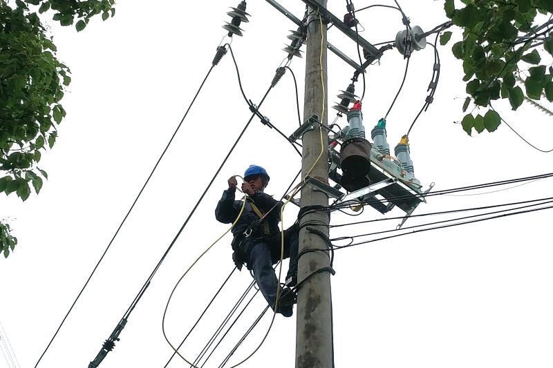 架空线路故障预警与定位装置：能否与其他设备共同开发？